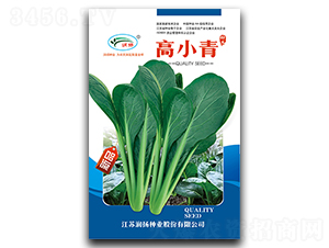 ��С��-��˷N��-���P�N�I(y��)