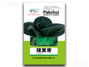 ������-��˷N��-���P�N�I(y��)