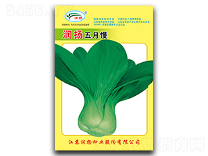 ���P������-��˷N��-���P�N�I(y��)