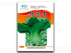 �P����-��˷N��-���P�N�I(y��)