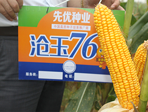 ����76-���׷N��-��(r��n)�P(y��ng)�N�I(y��)