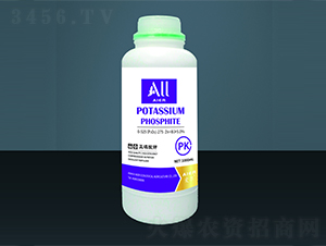 �������-�۠����B(t��i)