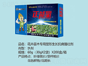 ������ľ�����������L�������ф�-������