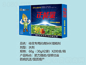 �𻨌��ÿ������L���ք�-������