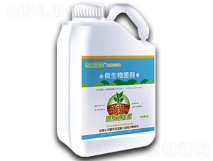 ΢�������-��������-���d����