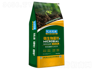 ΢�������-��(y��u)����(y��u)��-���d����