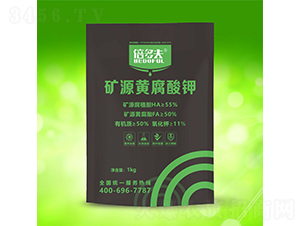 �VԴ�S�����-�����