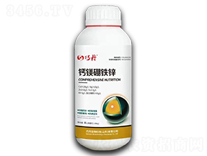 �}�V���F�\-�ɵ�-�f(w��n)��ȵ�