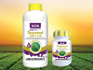 ����ʮԪ��-����ķ-������