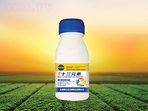 ϡ��ʮ��Ԫ��-������