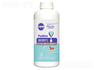 1300g�����}-������