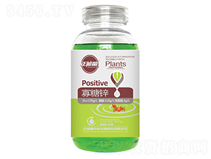 300g�����\-������