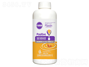 1300g������-������