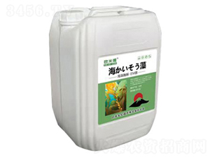 Ͱ�b΢�������-�Ƃ��d��