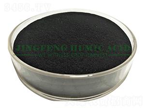 ��ֲ��⛷�ĩ-���S��ֲ��