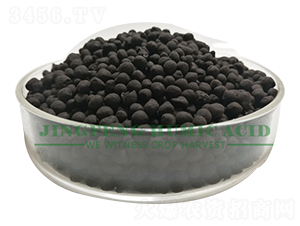 ��ֲ��A�w��-���S��ֲ��