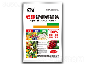 �V���\�f�}�i�F-�p�|-��?w��n)|����