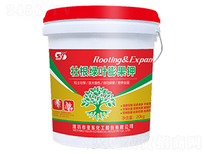 �Ѹ��G�~����-���|����