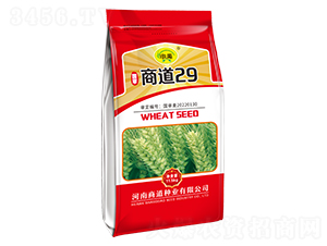 �̵�29-С���N��-�̵��N�I(y��)