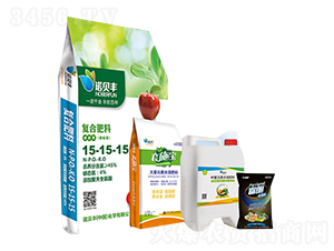 �ײ�A-�Zؐ�S