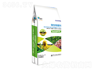 �ЙC(j��)�I(y��ng)�B(y��ng)��΢�������-�Zؐ�S