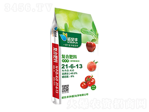 �����������(f��)�Ϸ���21-6-13-�Zؐ�S