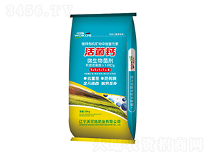 ����}΢�������-�ֿ�ʩ