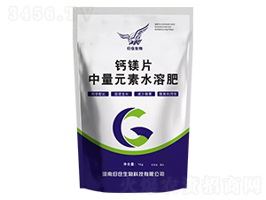 �}�VƬ-�w�}����