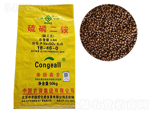 ���׶��@-�Ї��r(n��ng)�Y-�ʠ�Ԫ