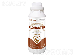 ���������L(zh��ng)-������