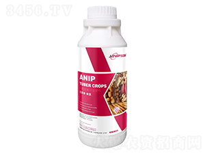 �����ա��K�o-������