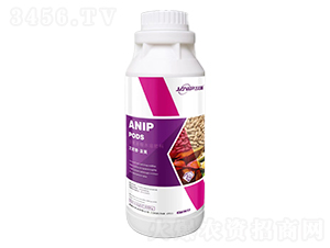 �����ա����v-������