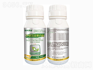 24-���|̦�؃�(n��i)֬-ꖹ���¶-���r(n��ng)��