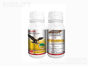 30%������-�𠖵ذ�-���r(n��ng)��