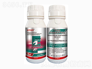 2%�װ������S����-�𠖼΄�-���r(n��ng)��