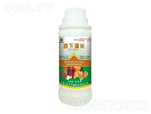 300g�������L(zh��ng)-���¿����-���S�f¡