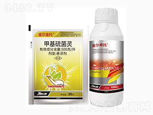 500��ÿ���׻�����`-�𠖽���+�𠖼���-���r��