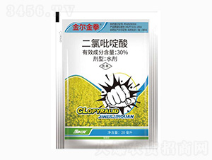 30%���������-�𠖽�ȭ-���r(n��ng)��