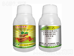 51%�䡤��-���f���o��-���r��