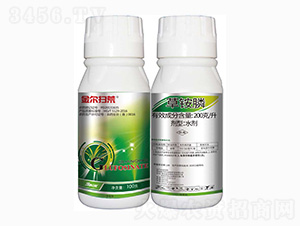 200gÿL���@�-�𠖒߻�-���r(n��ng)��