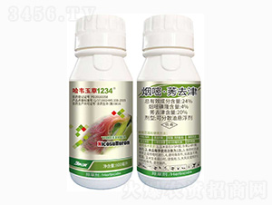 24%����ݬȥ��-���f���1234-���r(n��ng)��