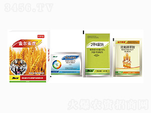 С�����݄�-��ȸ��-���r(n��ng)��