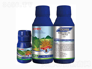 10%��������-�𠖐ۃ�(y��u)-���r(n��ng)��