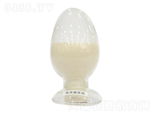 98%������ԭˎ-�����Ƽ�