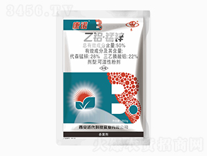 50%���X�i�\-���Z-�����Ƽ�