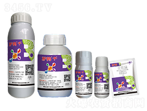 30%�ɾ��~�M��-�o��-�����Ƽ�