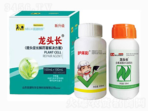 ���^���L(zh��ng)��ˎ����Q����-���^�L(zh��ng)-������A