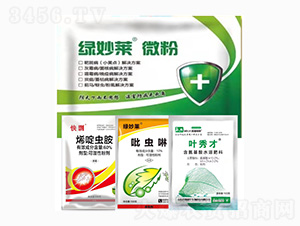 �G���R΢��-�E�R���x��ʭ��Q����-������A