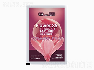 �����ھ���-����ʩ-������A