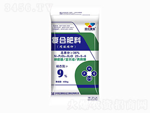 ��������͏ͺϷ���25-5-6-��t���H